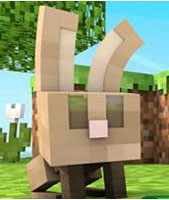 �ҵ�����0.12.2���ӽ���ʲô�� ��Ծҩˮ��ô��