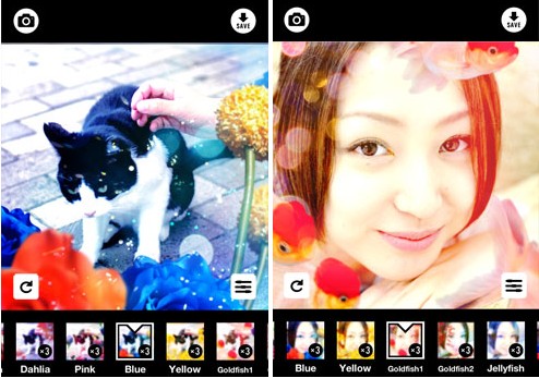 �ֻ��˾�������ʲô���ֻ��˾���������