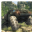 3DԽҰ����˾�����İ�׿��v1.10