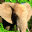 ����ģ�������غ������İ�v1.2.1