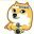 panda TV�ٷ�app��׿��