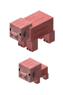 �����ҵ�����������ȷ����