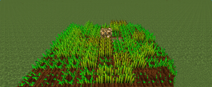 �����ҵ�����С����ֲ��������