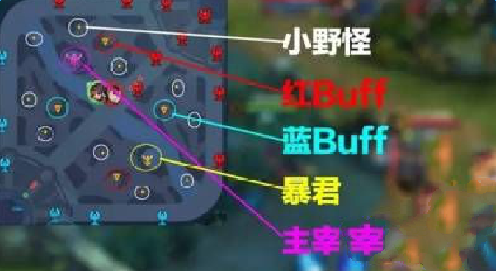 王者荣耀野怪数据攻略大全 全方位解析