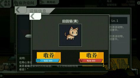 少女前线宠物怎么刷? 宿舍宠物猫、狗获取途径详解