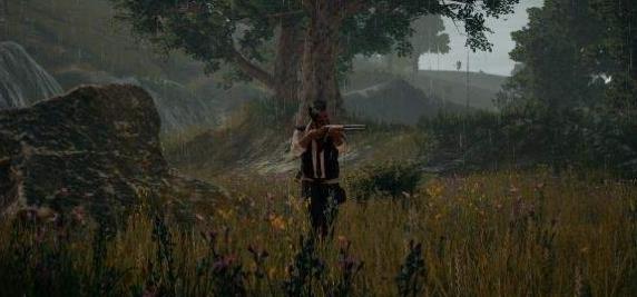 ������������������ȫ �������Ի��ܽ���