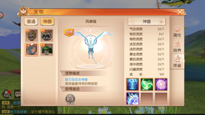 九州天空城3D秘术师带什么宠物好 秘术师宠物选择攻略