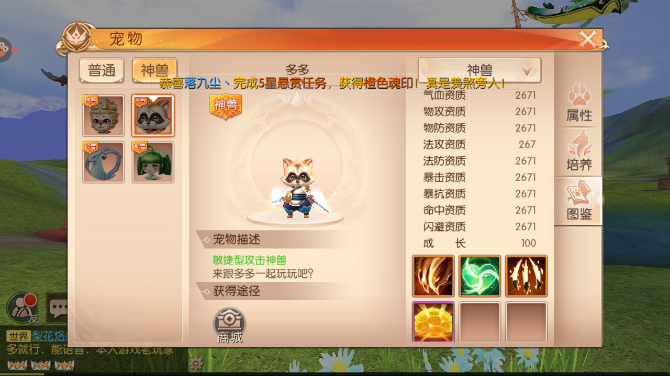 九州天空城3D羽芒带什么宠物好 羽芒宠物选择攻略