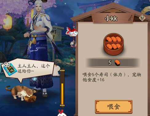 阴阳师小猫怎么协战? 怎么进阶? 小猫协战进阶攻略大全