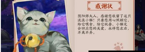 阴阳师小动物培养攻略 小动物喂养方法讲解