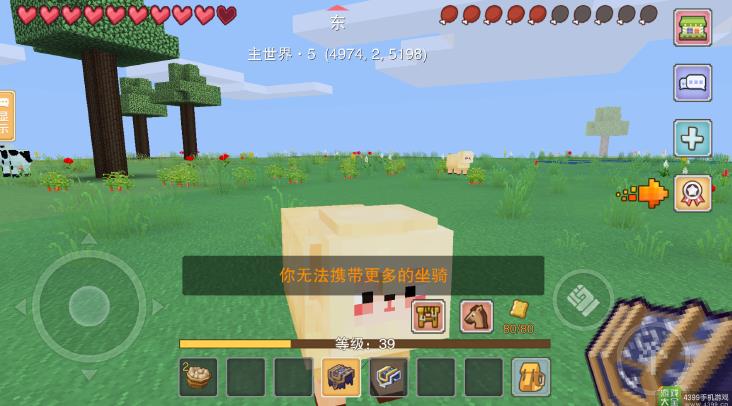 奶块无法携带更多坐骑怎么办? 坐骑携带限制详解