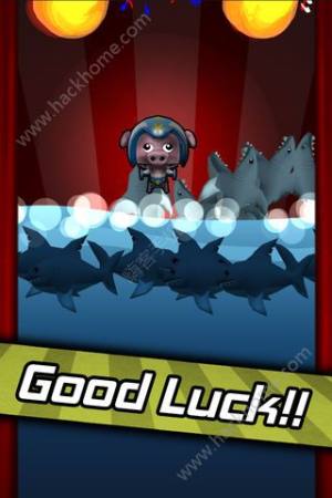 Rocket Pig游戏安卓版下载图片1