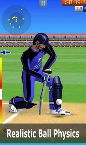 ιٷ׿أSmashing CricketͼƬ1