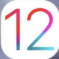 iOS12.4ʽ