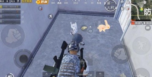 和平精英白兔子和金兔子哪个好 白兔子和金兔子区别介绍