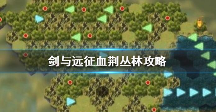 剑与远征血荆丛林攻略 血荆丛林通关技巧