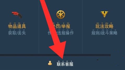 ��ƽ��Ӣ100Ԫ���������� 100����������