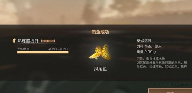 明日之后凤尾鱼在哪里钓 凤尾鱼位置详解