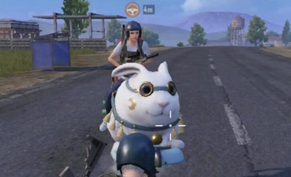 ��ƽ��Ӣ���ó����� ����������ˢ�µ��ȫ