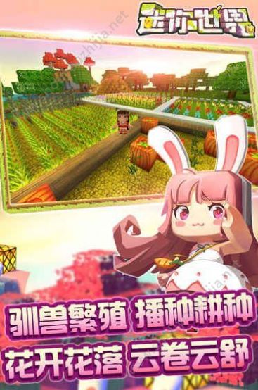迷你世界章小丸皮肤激活码2021 v1.4.