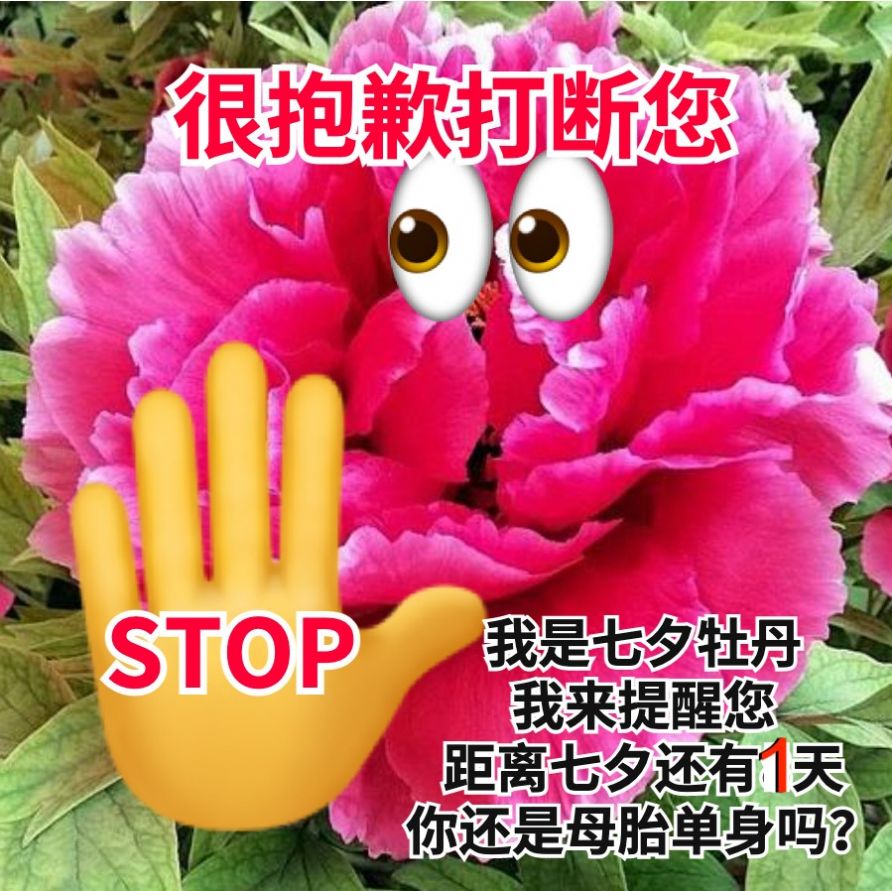 2021抖音超火的七夕牡丹表情包图片高清版本无水印下载v10