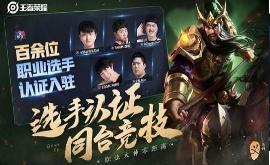 qq成为kpl职业选手认证生成器软件最新版 v1.