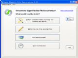 Super Flexible File Synchronizer Pro ͬļݹ  V5.61 ӢɫЯ