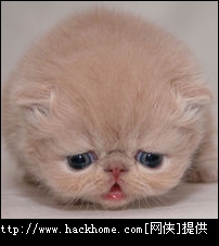 201212191004016103.jpg