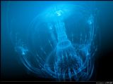 ͸ɫˮĸĻ -Jellyfish ɫװ