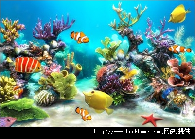 3Dˮ°ֻ棨Sim Aquarium 3Dͼ1:Ϸͼ