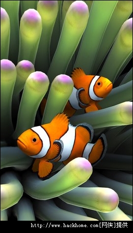 3Dˮ°ֻ棨Sim Aquarium 3Dͼ3:Ϸͼ