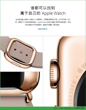 ſapple watchͻͼ3