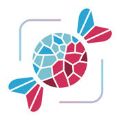 野糖网app