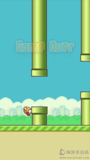 ľFlappy Bird[D3