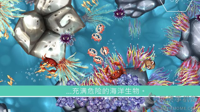 ˮĸٷiOS棨Jelly Reef)ͼ2: