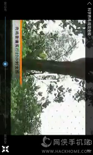 Burapp׿֙CD4:
