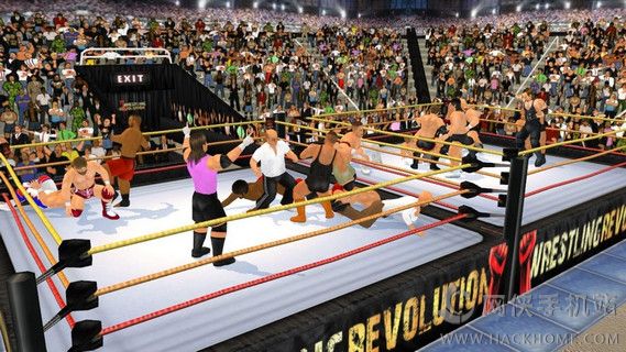 ˤǸ3DİϷ׿(Wrestling Revolution 3D)ͼ1: