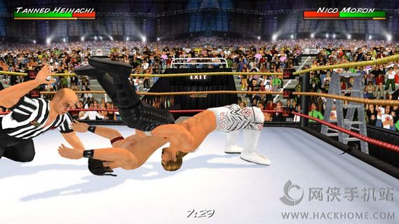 ˤǸ3DİϷ׿(Wrestling Revolution 3D)ͼ4: