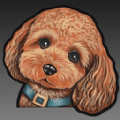 ̩ơơapp׿ֻ v2.1.2