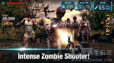 𽩌2b°׿棨GUN ZOMBIE 2 RELOADEDD4: