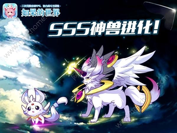 SSSFTϾ ײYƬ_(ki)DƬ4
