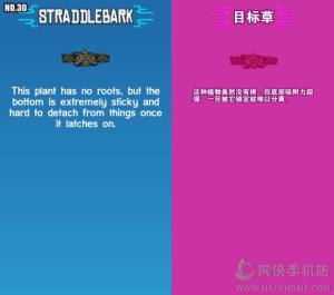 CrashlandsƷDbȫDƬ31