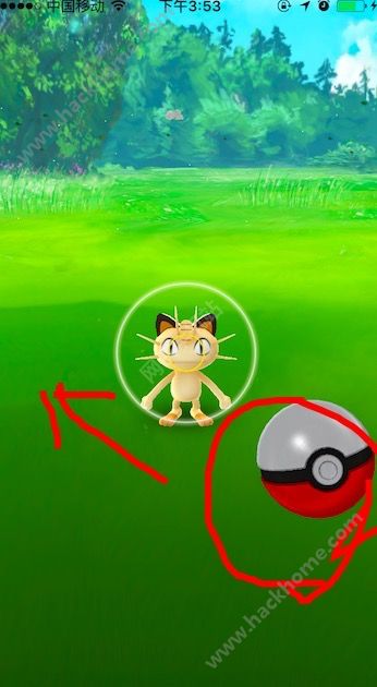 pokemon goǰھ`ֵB ǰڰlչɷDƬ5
