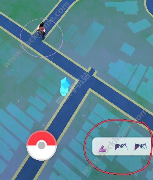 pokemon goԔ[Դȫ ֽ̌Wָ]DƬ6