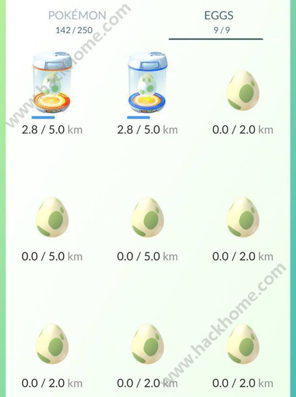 pokemon goԔ[Դȫ ֽ̌Wָ]DƬ10