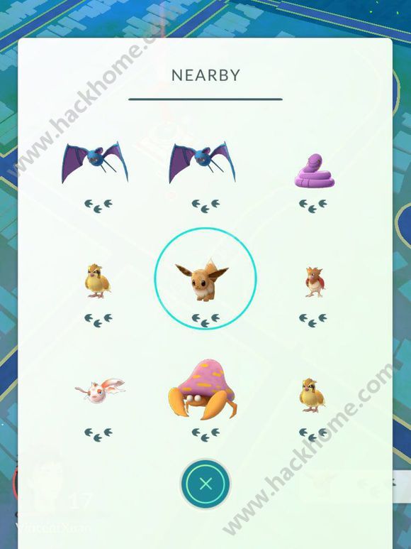 pokemon goԔ[Դȫ ֽ̌Wָ]DƬ7