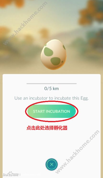 ڴgo[Iv [fDƬ27