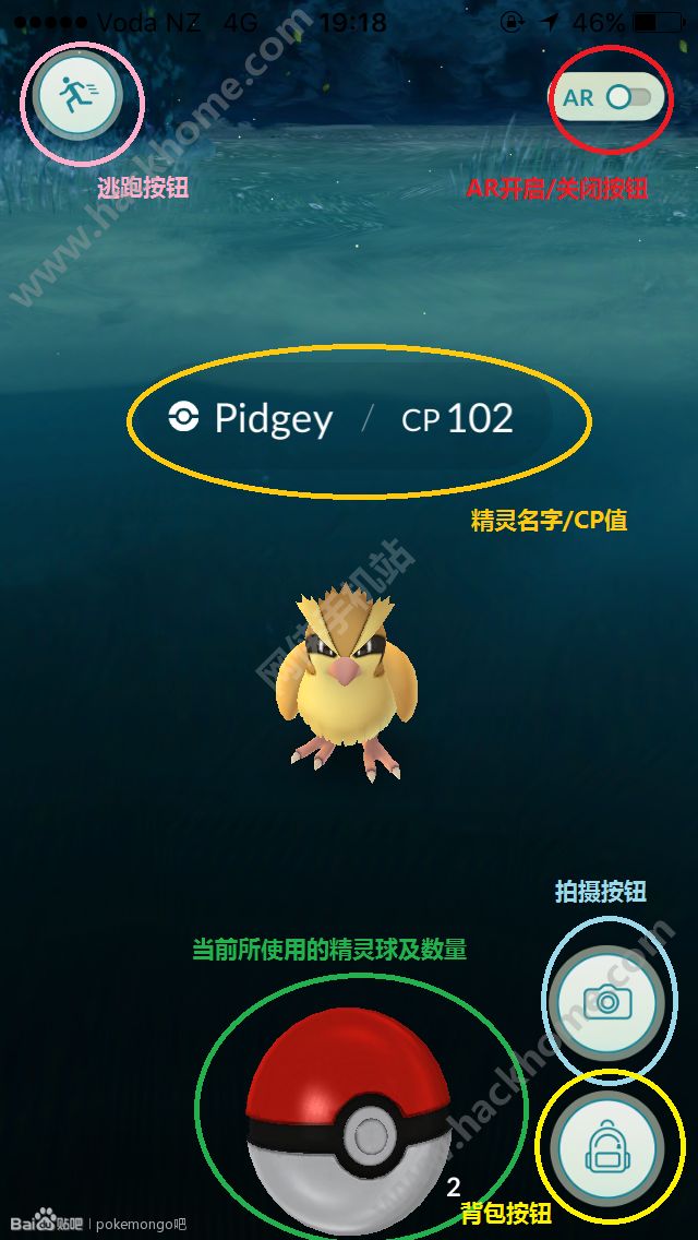 ڴgo[Iv [fDƬ30