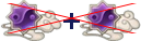 μ伯νɫôͻƣ ɫͻƽ̳ͼƬ10