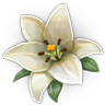 ԰׿Ϸĺ v2.17